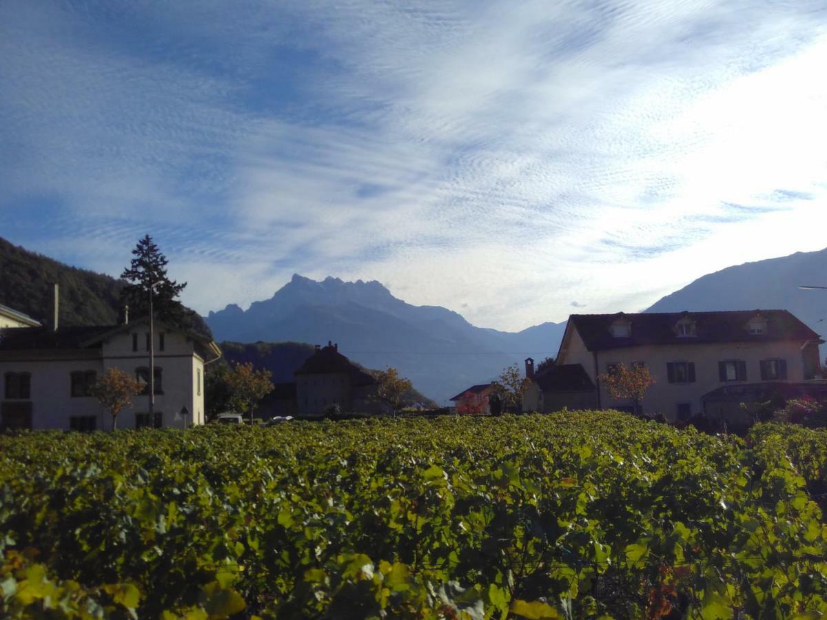 Element-Terre Hotel Aigle Exterior photo