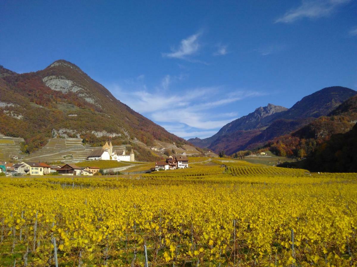 Element-Terre Hotel Aigle Exterior photo