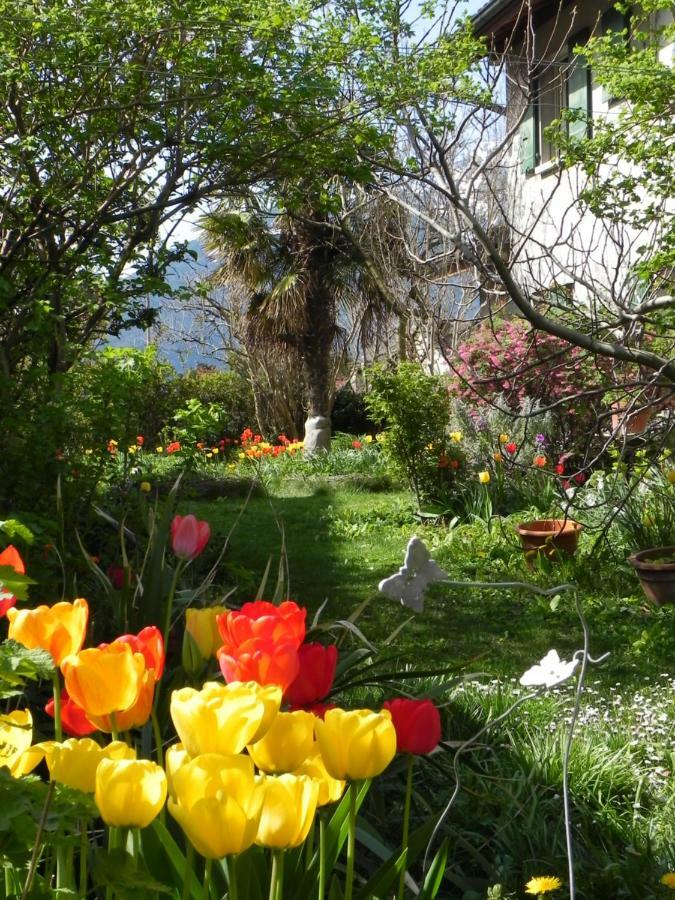 Element-Terre Hotel Aigle Exterior photo