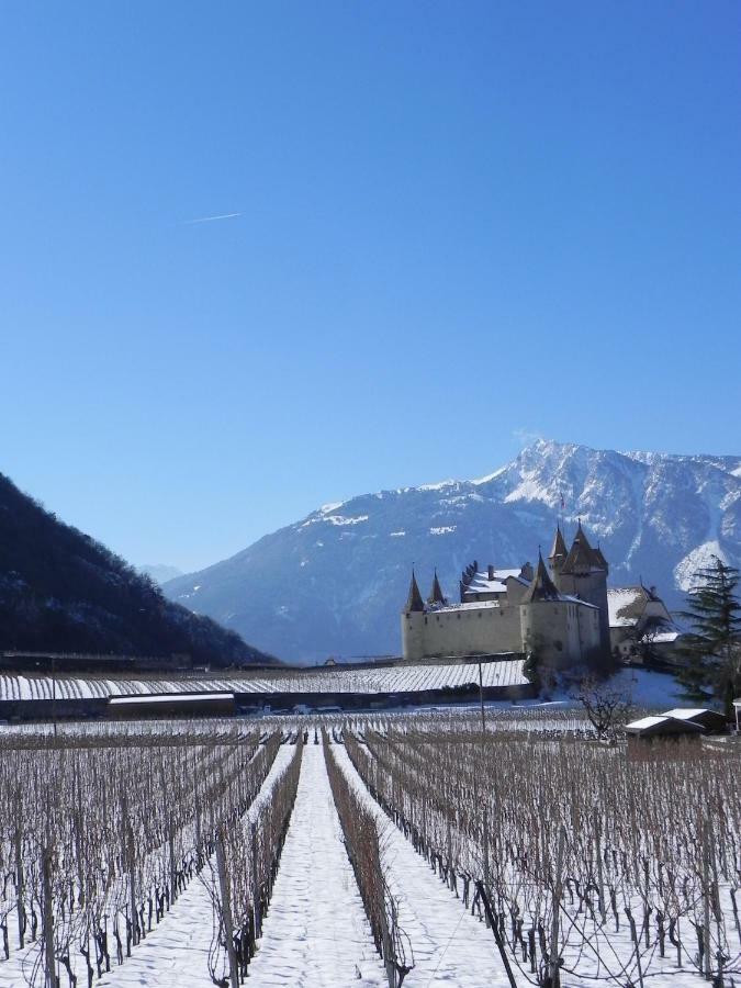 Element-Terre Hotel Aigle Exterior photo