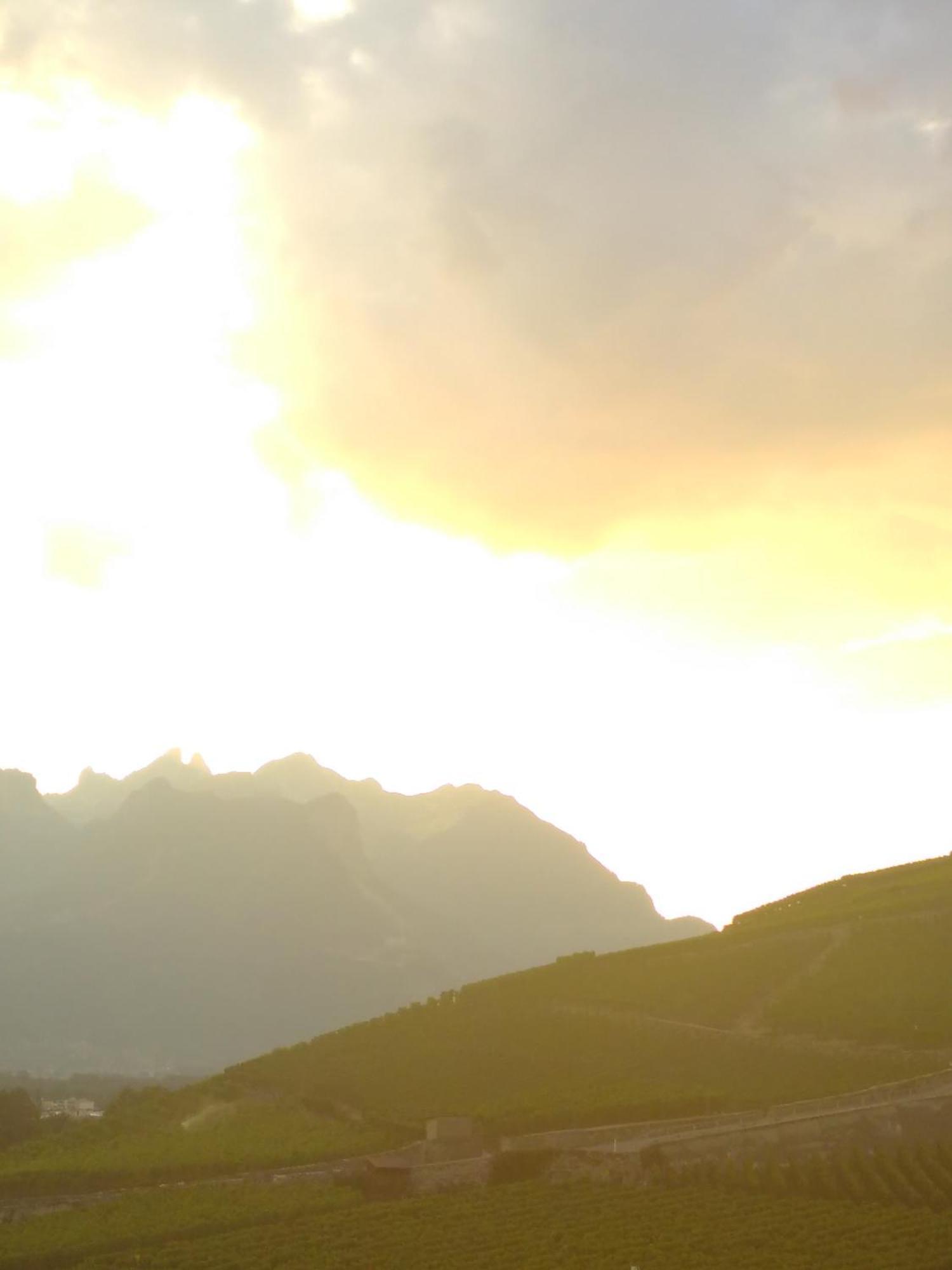 Element-Terre Hotel Aigle Exterior photo